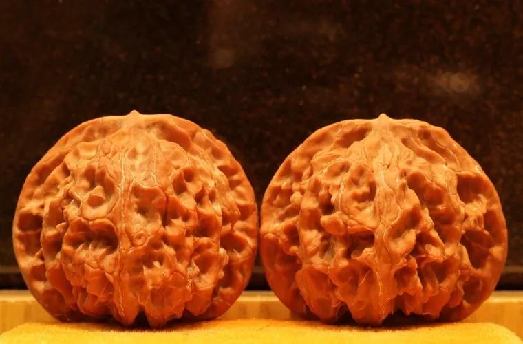 文玩核桃分类及特征,文玩核桃的种类和特点