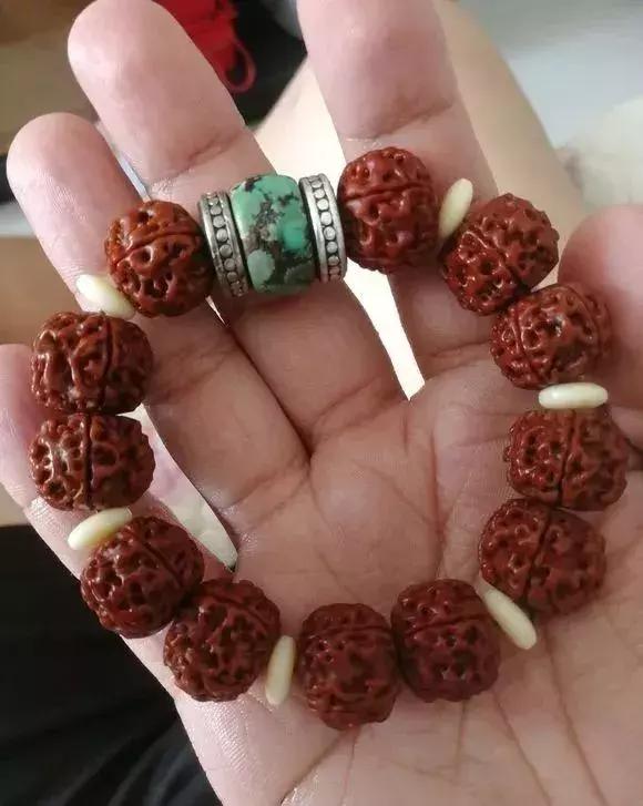 金刚贵贱区别,金刚菩提多久能红