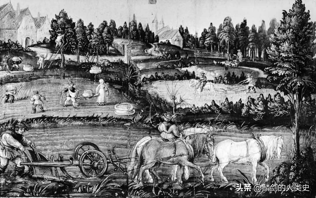 世界农业历史,西方中世纪农业发展