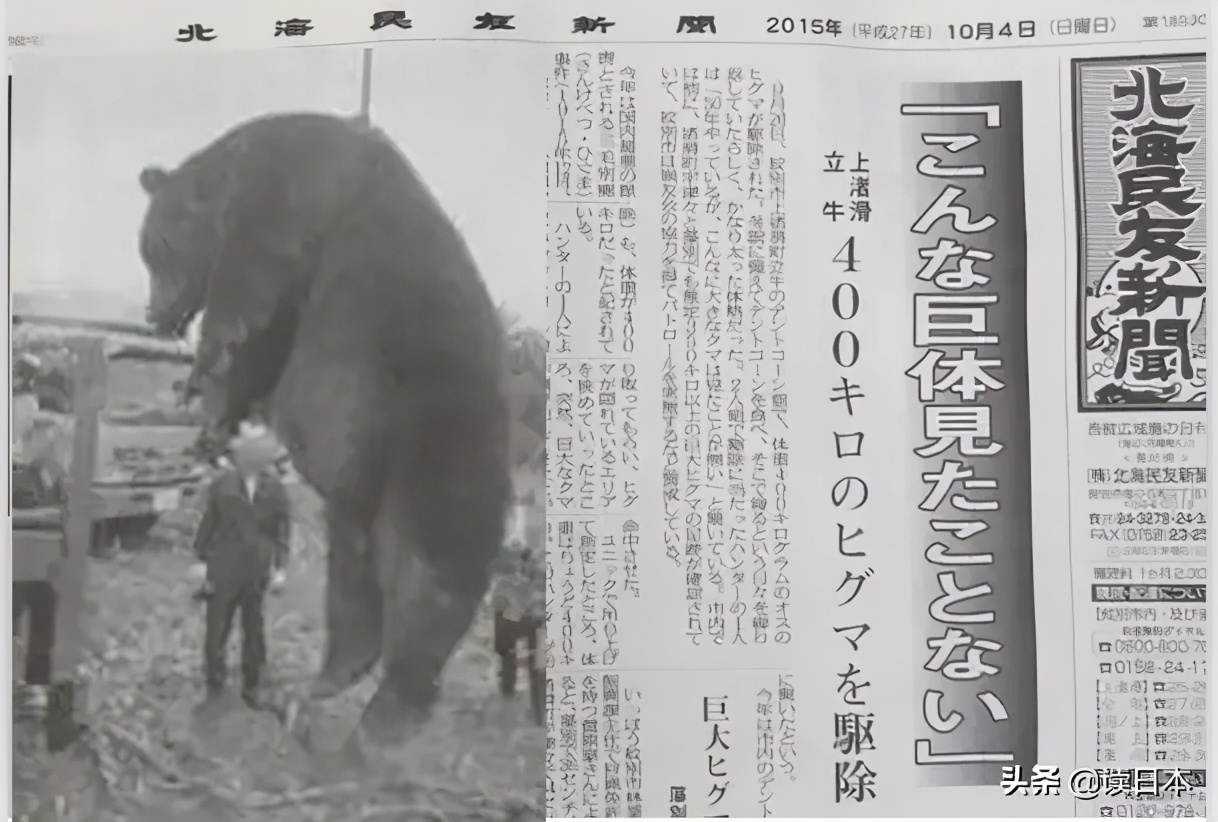 日本熊吃人事件地点,17年日本熊吃人事件