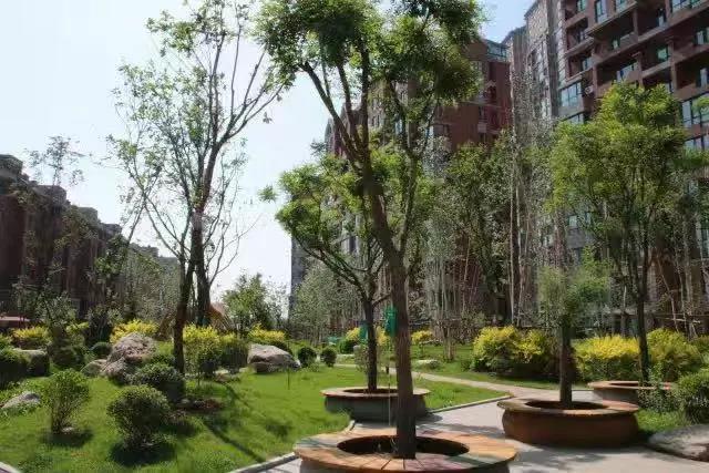 你家的房子是什么级别,什么样的房子属于高端住宅