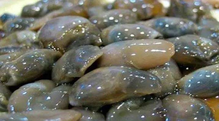 浙江舟山特色美食图片,浙江舟山特色美食是什么