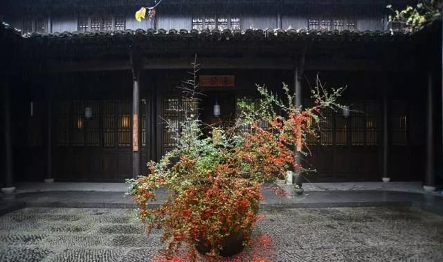 最好看的花艺师,花艺界著名花艺师