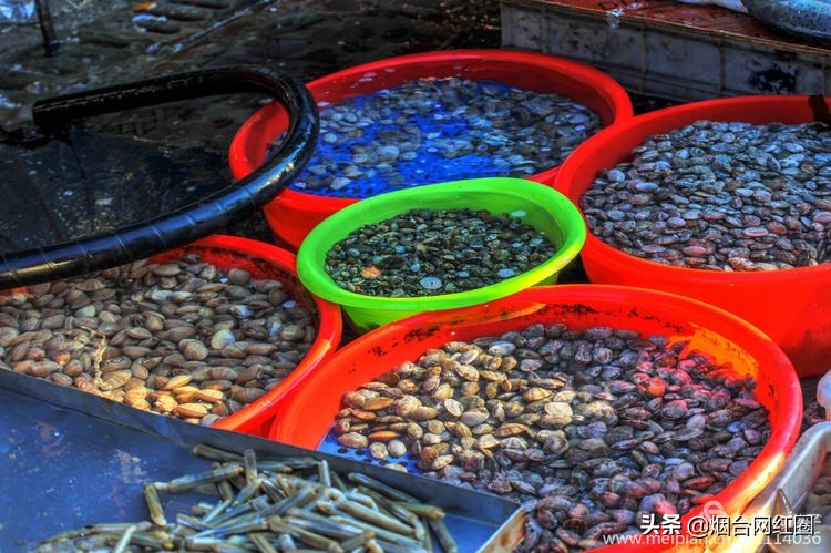 烟台莱阳海鲜早市,烟台老红利市场早市