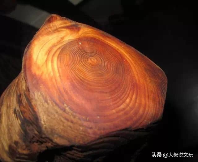 玩木头书籍,玩木头的