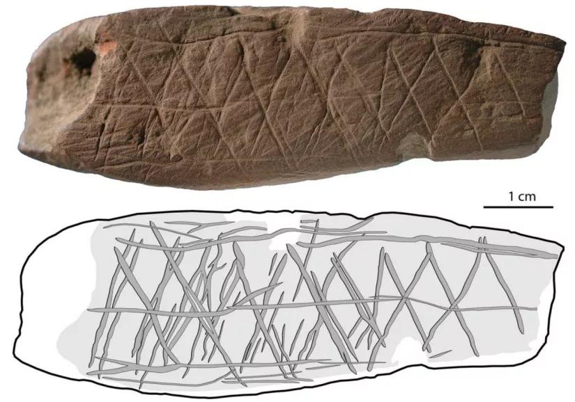 人类的行为是否具有地区性,人类早期迷惑行为