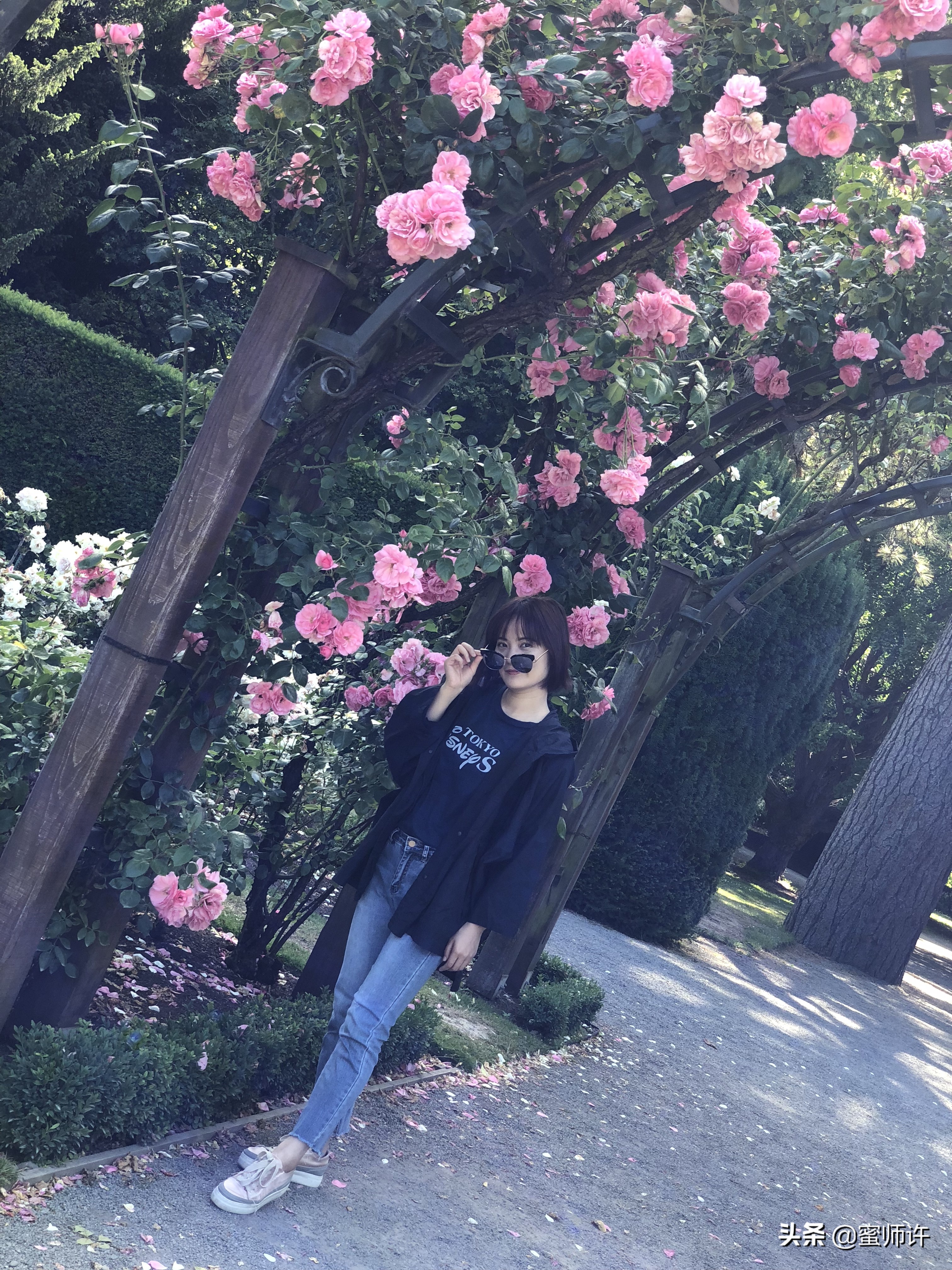 新西兰南北岛11日精美之旅,新西兰南北岛10天