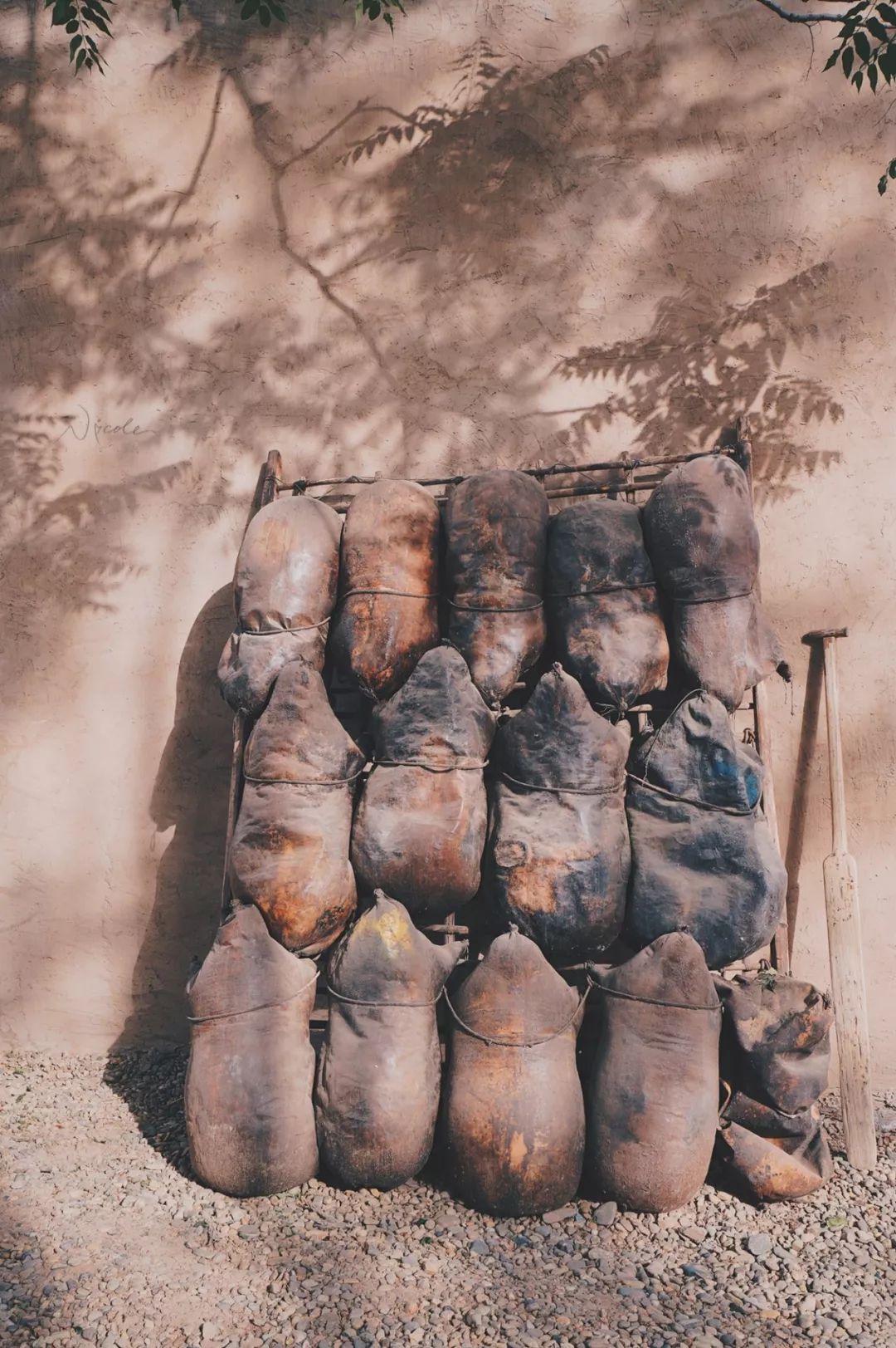 可盐可甜是哪首歌的歌词,可盐可甜出自哪