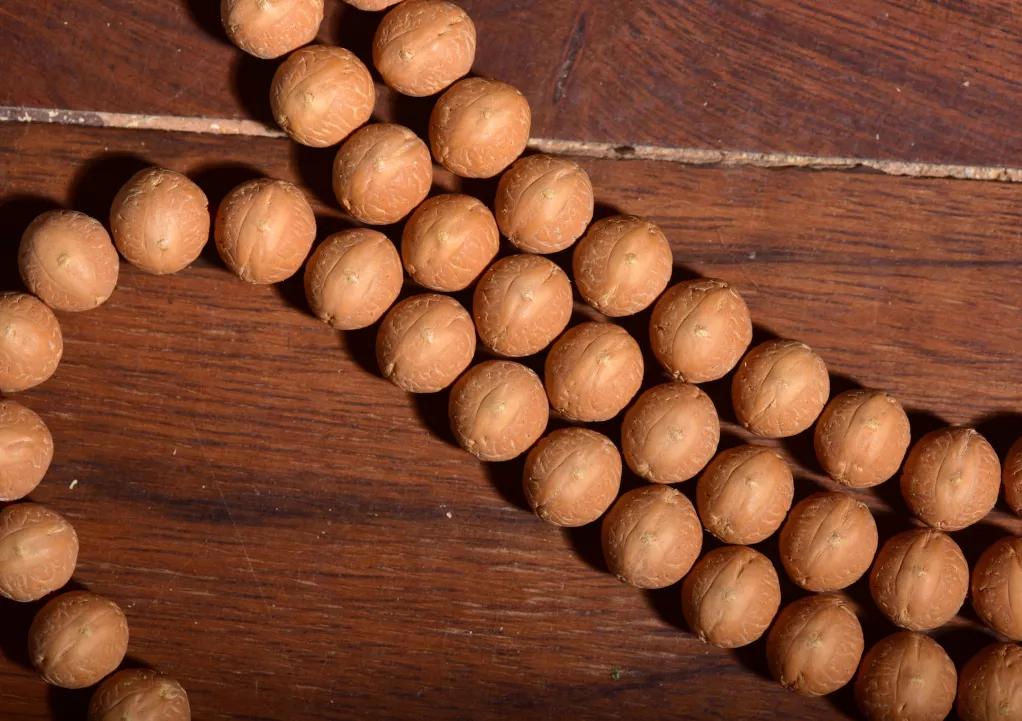 巧克力色的凤眼能盘成牛津红吗,为什么有的凤眼盘不红