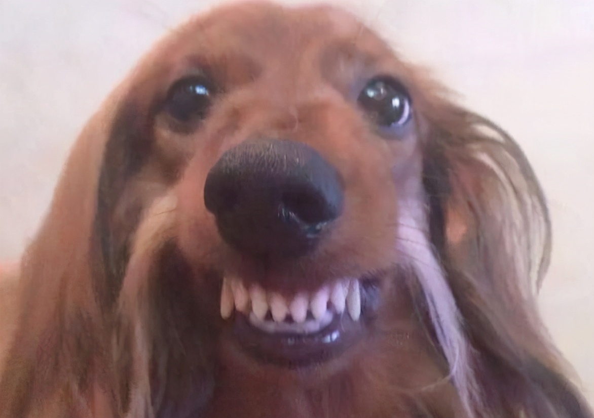 宝宝爱咬上嘴唇如何纠正,小孩喜欢咬嘴唇睡觉变龅牙