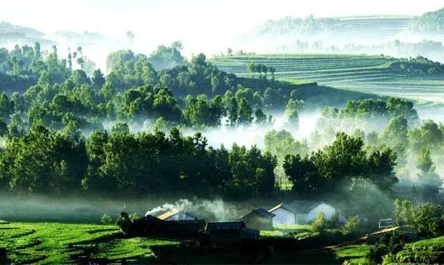 温柔的中亚牧羊犬,温柔的黑犬