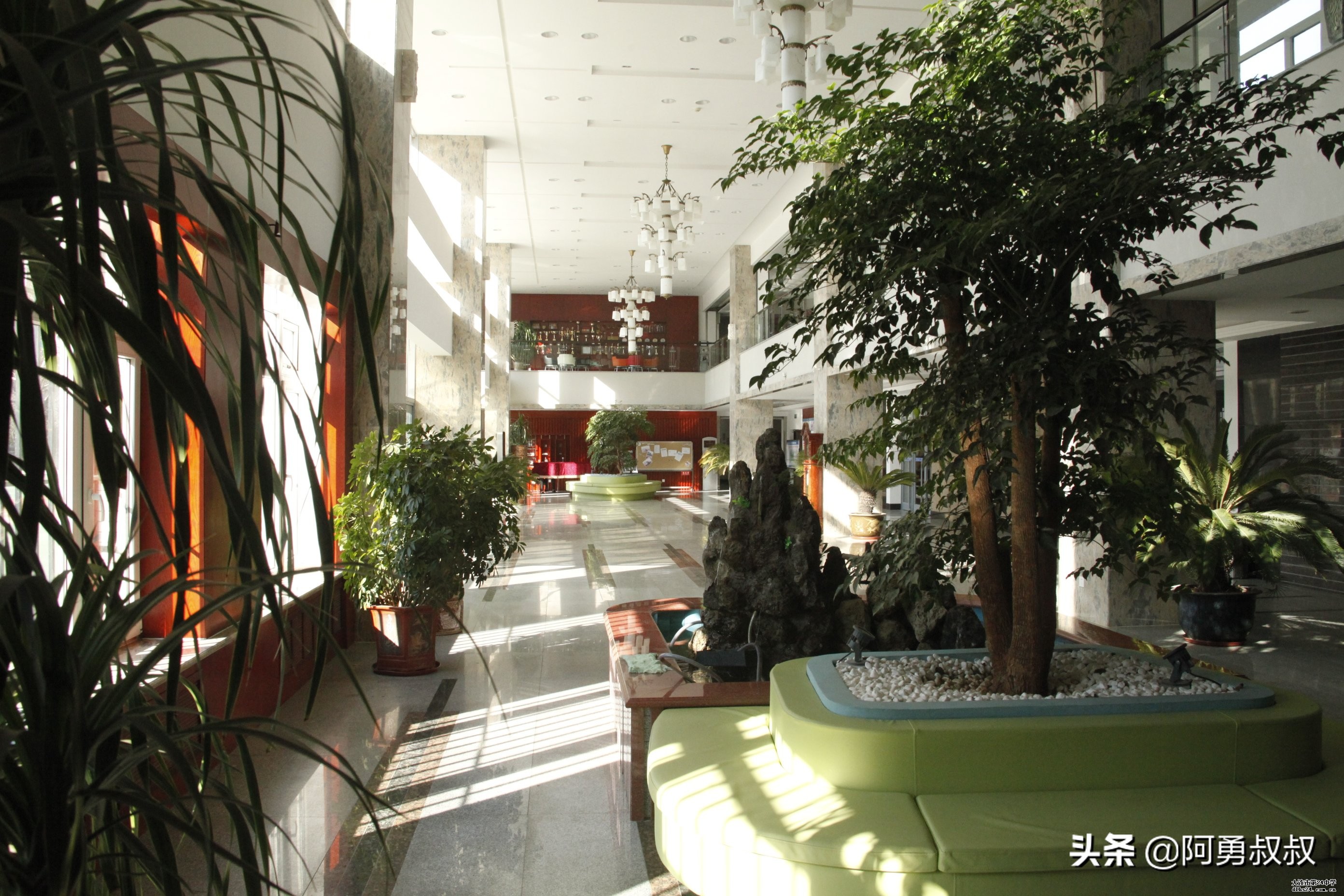 大连全国百强国际学校,大连第二十四中学全国排名