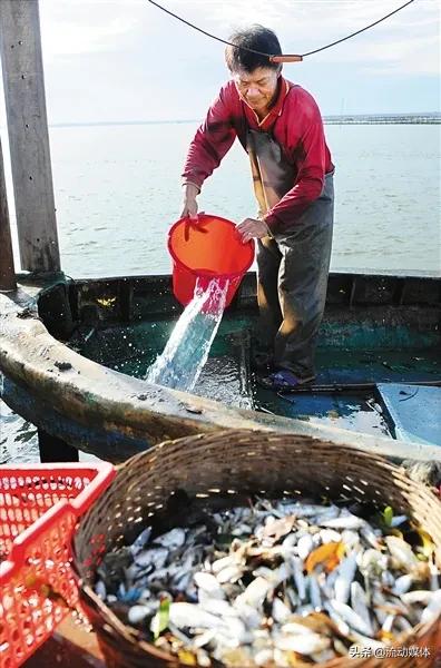 海鲜本身有多鲜,海鲜捕捞知识