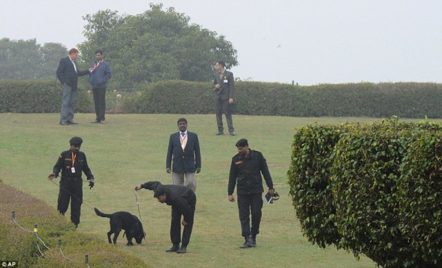 印度猴子被人类暴揍视频,印度猴子挑衅人类被暴打了