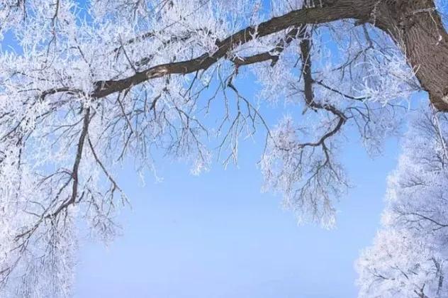 此生必去看一次雾凇太美了,此生必去看一次雾凇简直要美哭了