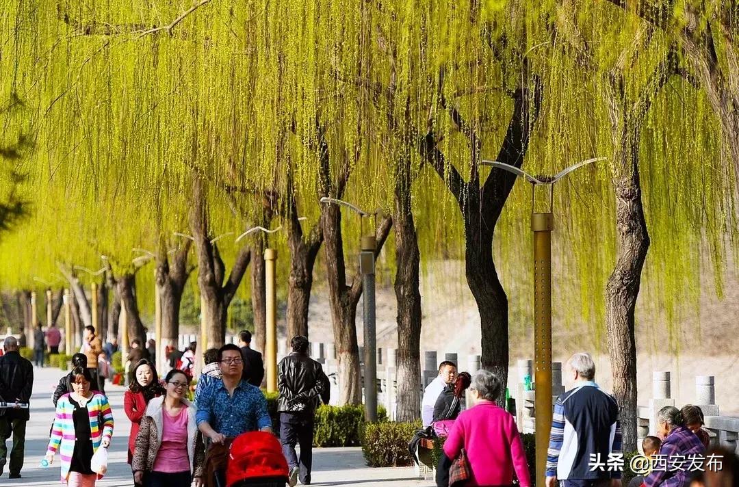 新华社权威解读经济热点,新华社当前经济形势