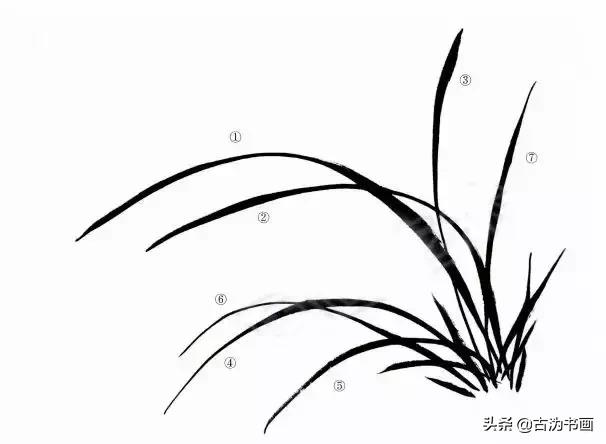 国画兰花技法讲解视频,徐湛国画兰花技法教学