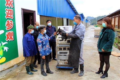 扶智扶技拔穷根抱团发展创新业——下沙镇胡书村*党**建引领推进脱贫攻坚