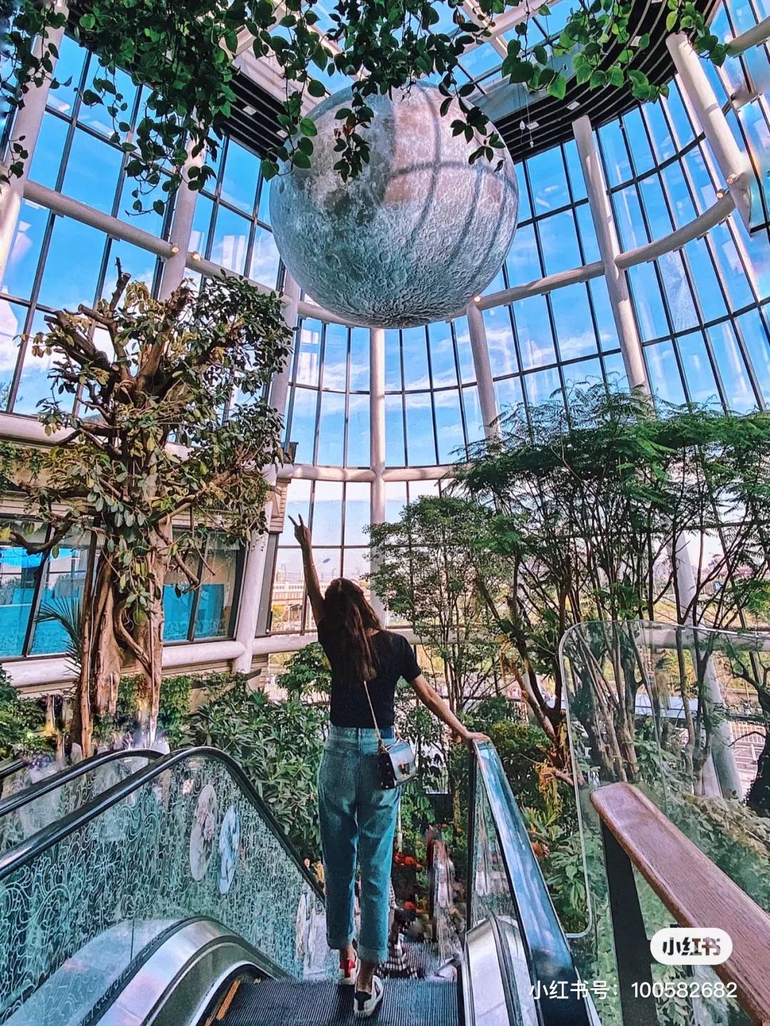 在上海生活必须知道的100件事,来上海做这7件小事