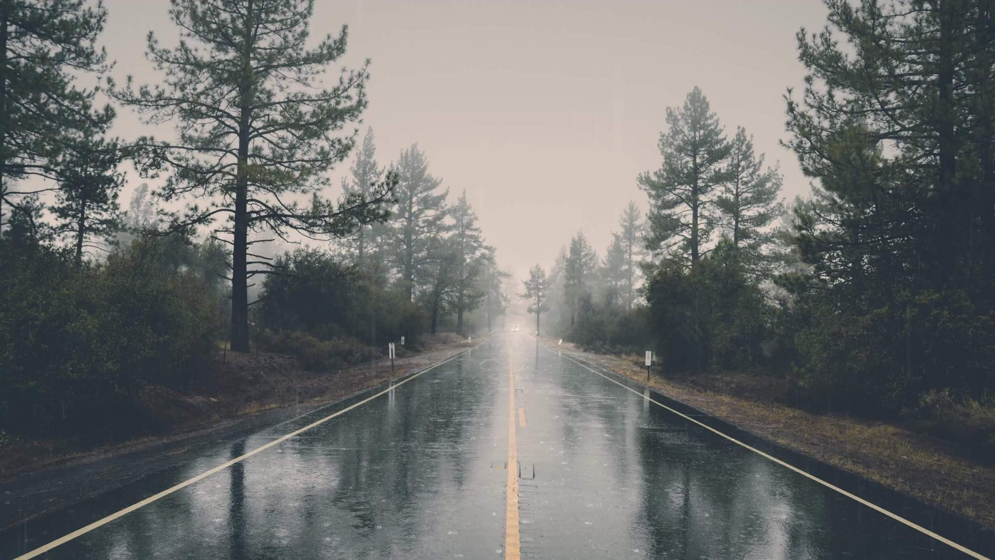 盘点19个你可能不知道的科学“冷知识”