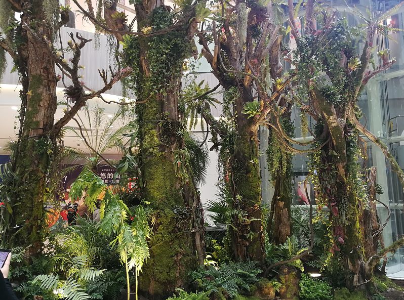 零跑郑州yoyopark,郑州yoyopark购物公园在哪里