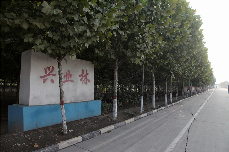 石家庄藁城区独门独院式厂房,石家庄藁城振华厂房