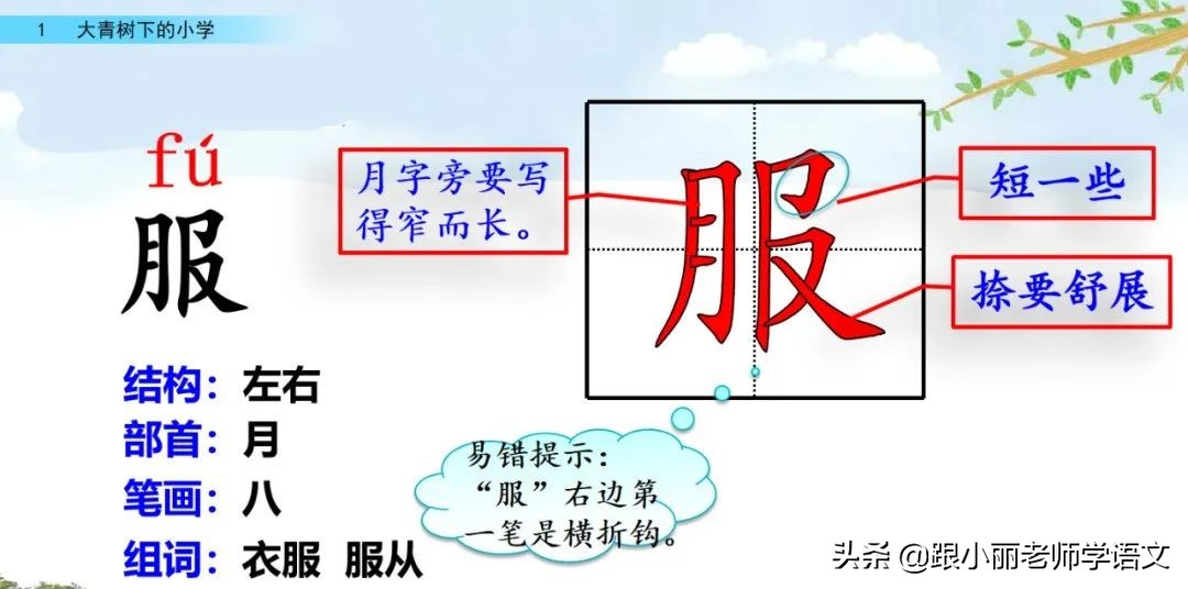 大青树下的小学重点知识点,大青树下的小学重点知识梳理
