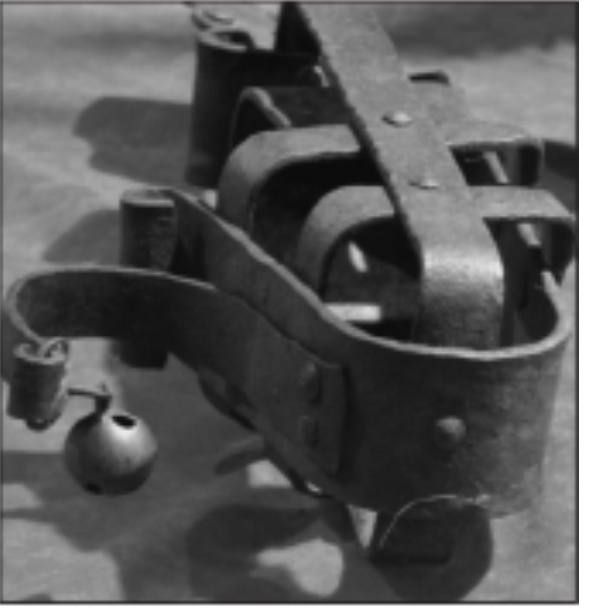 长见识啦深度解析,长见识了完整版视频