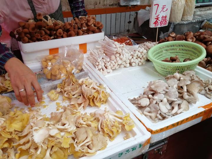 广西南宁青菜价格表,南宁现在的水果