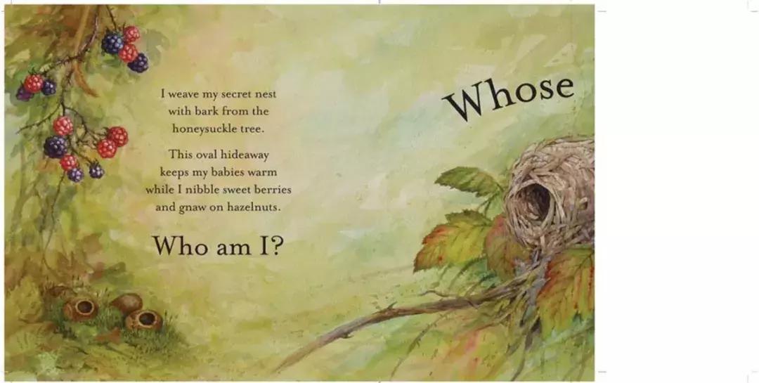 给孩子的自然故事绘本,讲给孩子的自然科普绘本