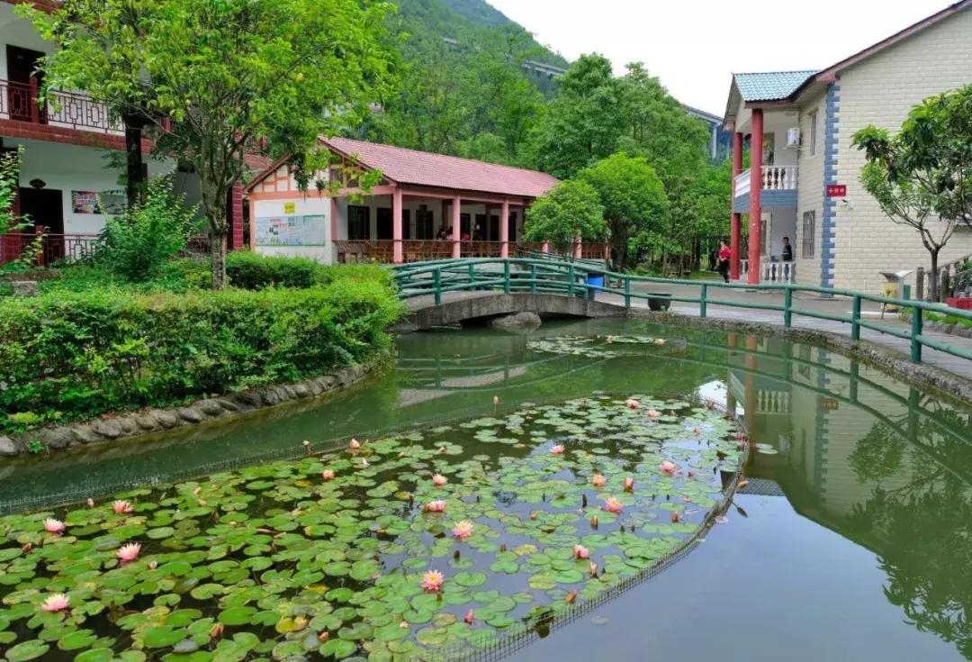 龙门峡谷景点推荐,龙门谷景区附近一日游