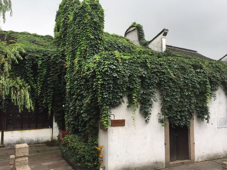 嘉兴月河古镇在哪里啊,嘉兴月河街开放时间