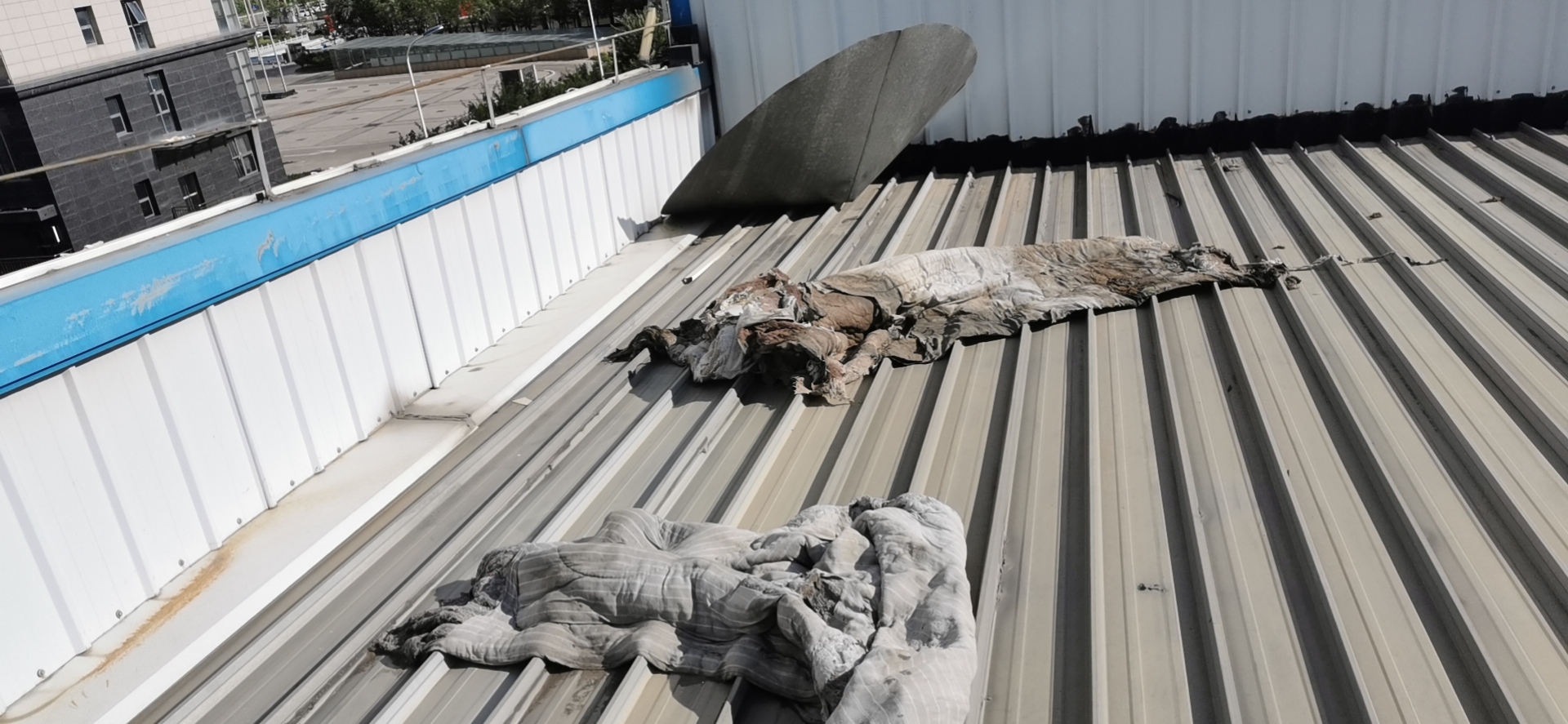 清理工厂地面灰尘,工业厂房屋顶垃圾清理