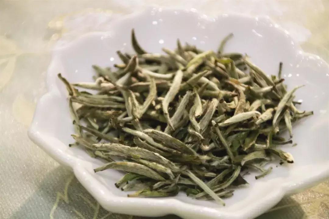 怎样辨别正宗福鼎白茶,怎么鉴别福鼎白茶好坏视频