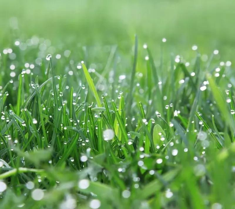 黄建芳的小视频,黄建芳湖南嘉禾人