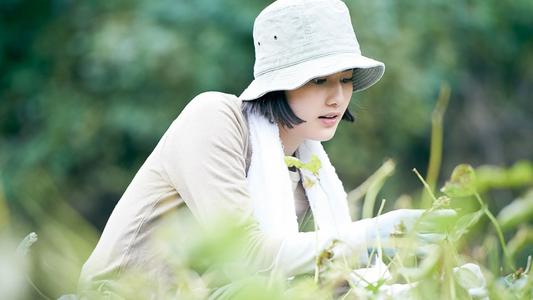 森淳一的《小森林》：披着美食的外衣，去沉淀自我和拥抱生活