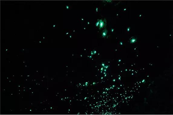 中考考砸了怎么和父母沟通,考试考砸了怎么办爸妈怎么安慰