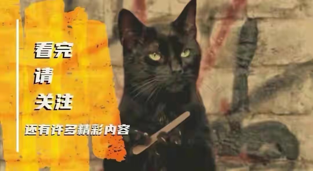 鏂戠偣鑷棘绉戞櫘,鏂戠偣鐔婂拰鑷棘