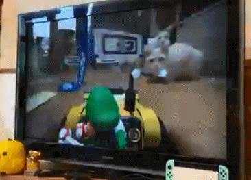 任天堂都出什么游戏了,任天堂里的游戏