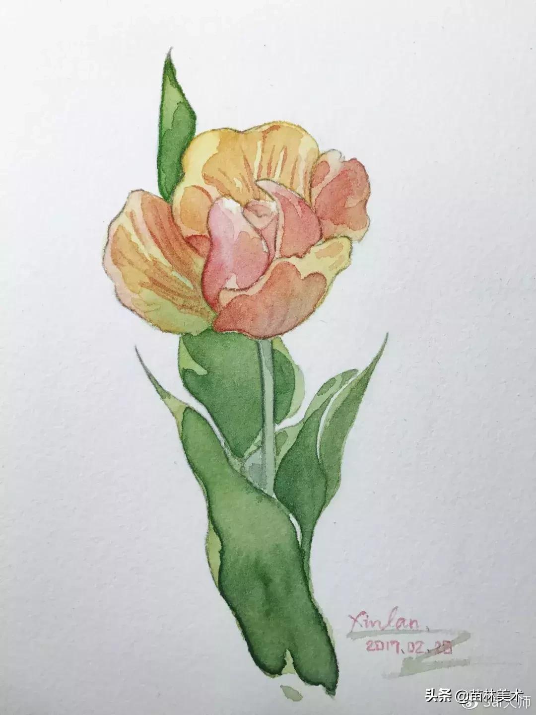 水彩入门工具推荐,零基础自学水彩入门