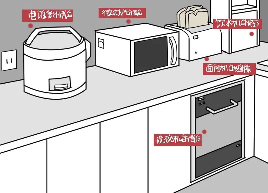 北方人第一次看到会飞的蟑螂反应,小时候会飞的蟑螂