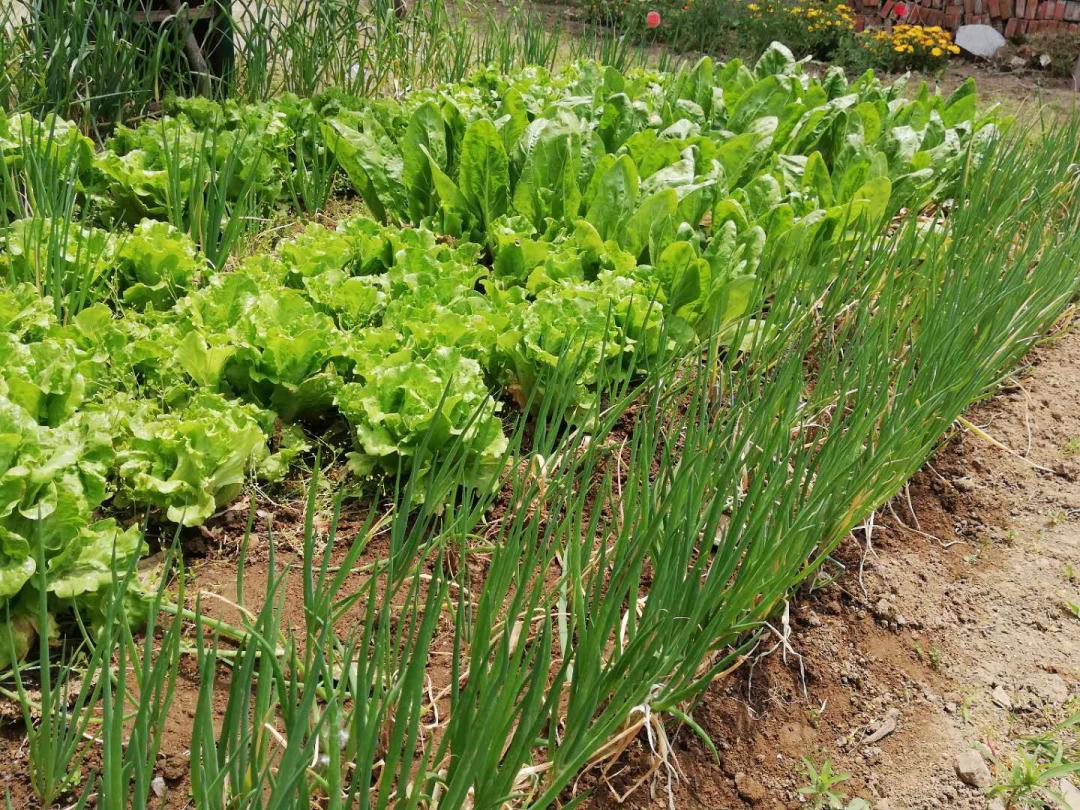 闲着木事儿，你来俺家玩儿呗