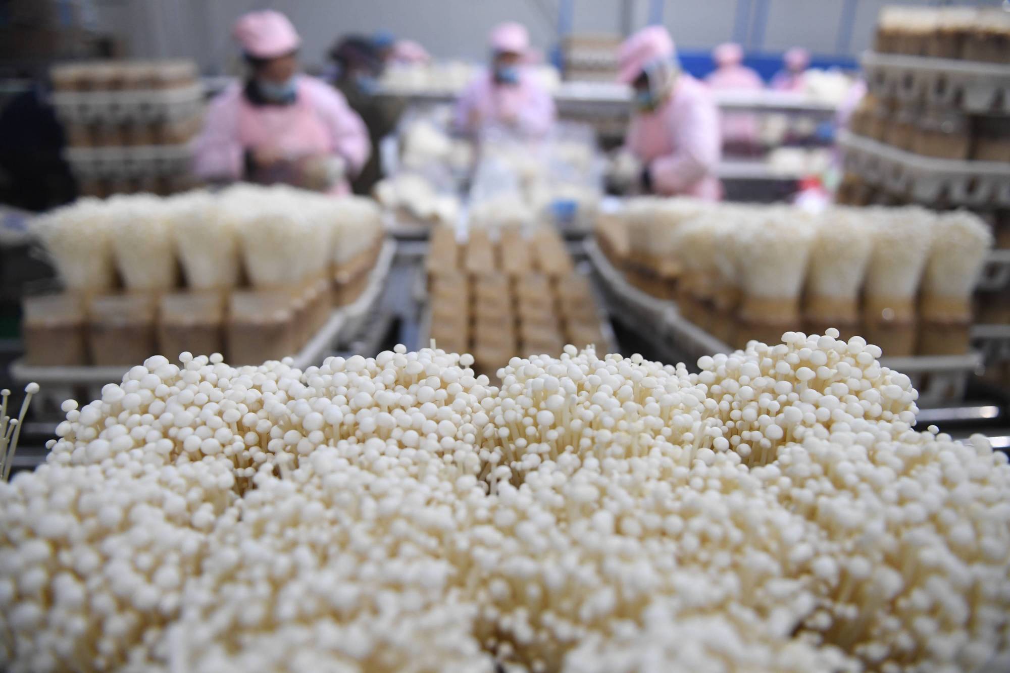 普通人致富最好的方式是什么,年轻人说勤劳致富是真的吗