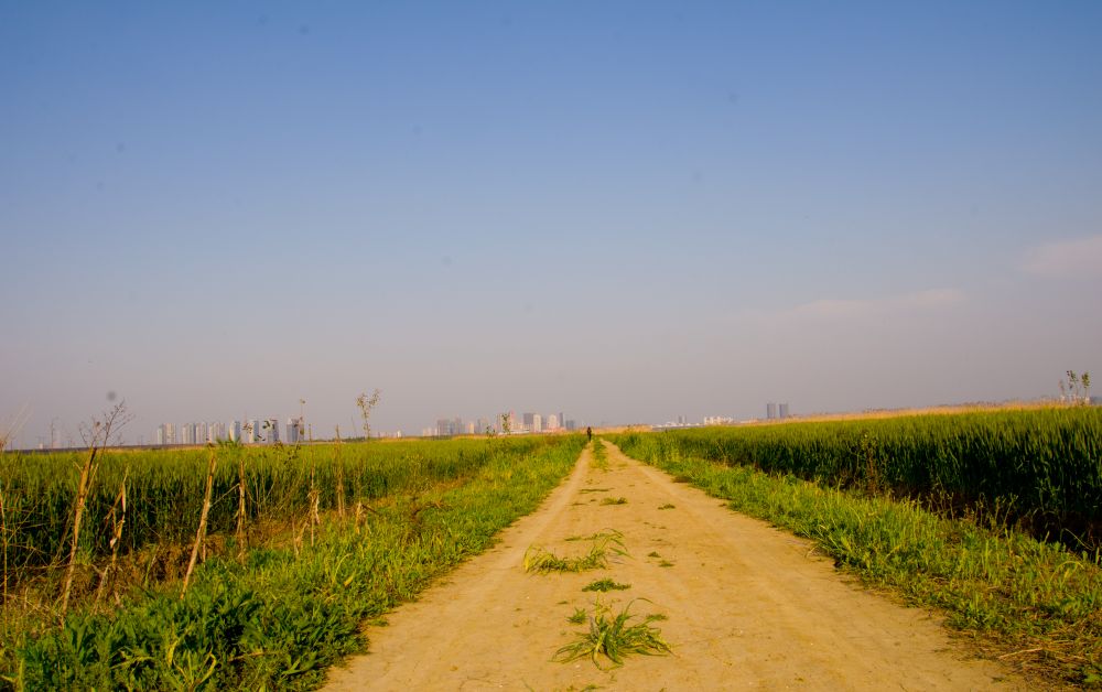 尼康d700的下一代,十年前的尼康d700