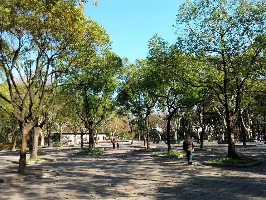 鲁讯公园的湛蓝色天空