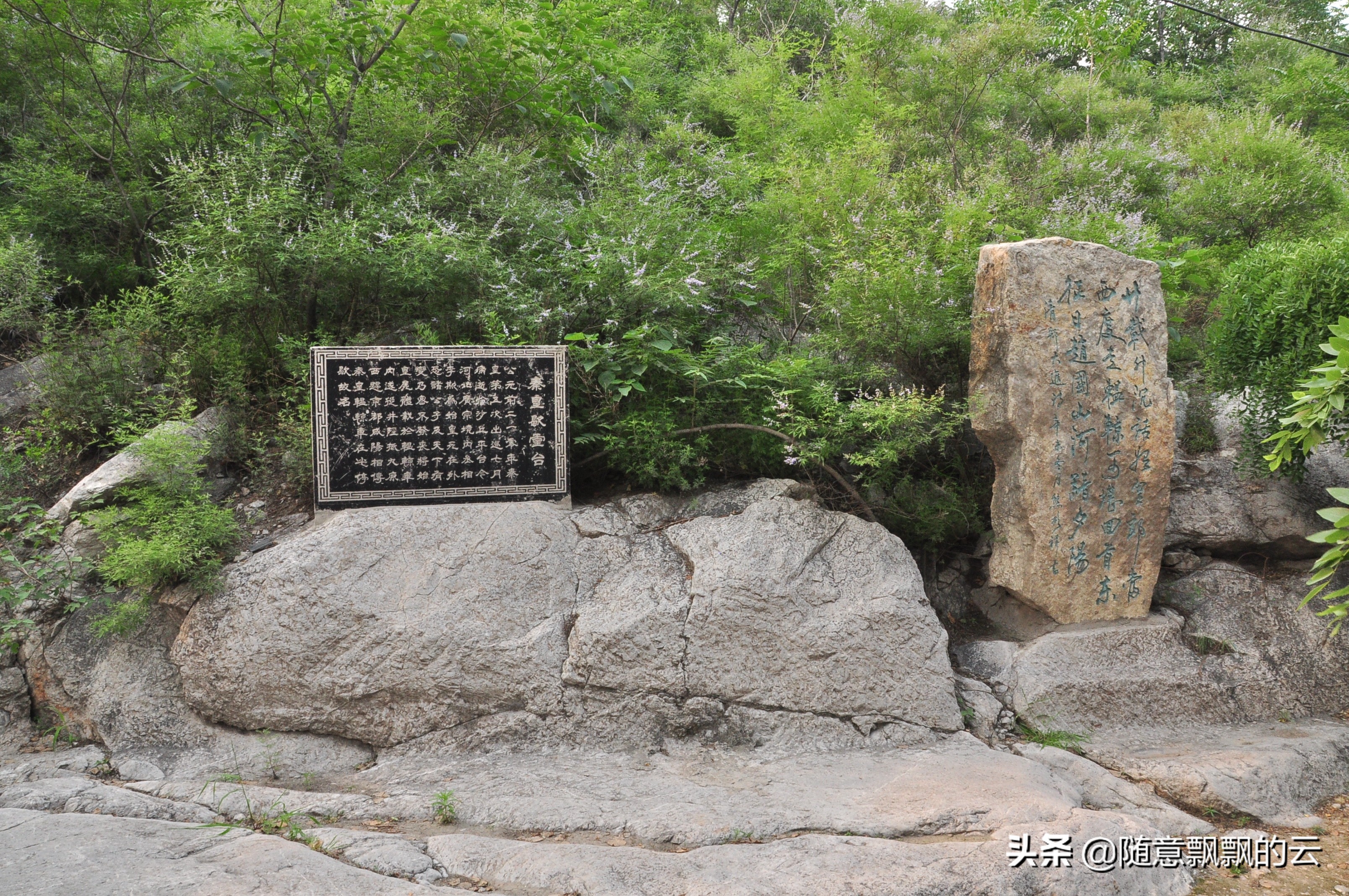 绉︾殗鍙ら亾鍗冨勾娌ф,绉︾殗鍙ら亾涓婄殑鍗冨勾鍙ゆˉ