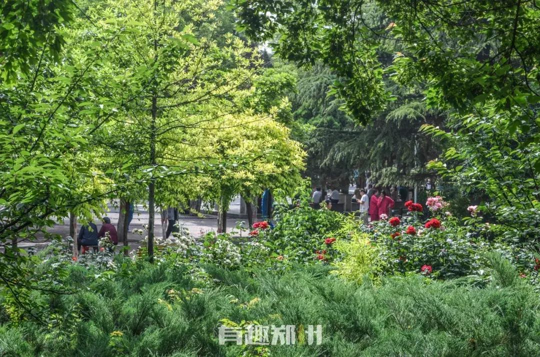 郑州地铁5号线沿线美景,郑州地铁5号线景点适合3月打卡地