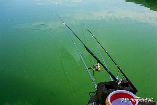 自然水域钓大鱼竿子怎么选择,自然水域野钓鲤鱼技巧及方法