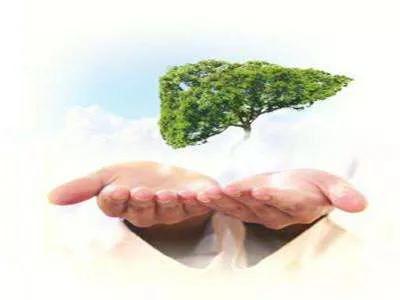 妊娠期肝病,妊娠期间肝功能异常要注意什么