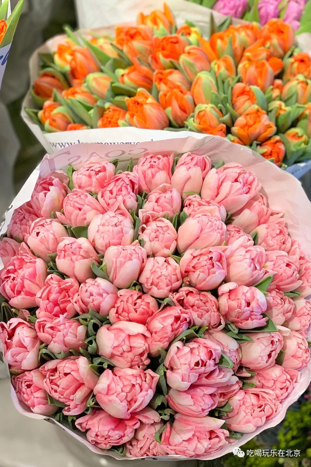 北京崇文区西花市大街,北京通州花市在哪里